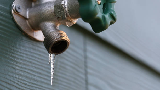 Best Sprinkler Systems  in Carrington, ND